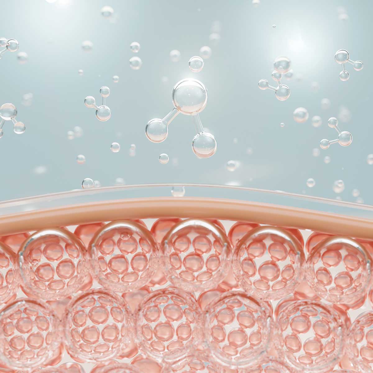 Molekularna struktura kože